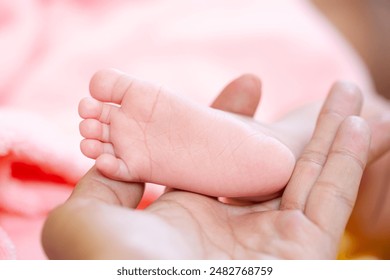 中文字字字幕乱码在线视频 中文字字字幕乱码在线视频