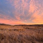 97国产最新 968lfew6y