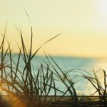 久久人人97超碰 k1ewp