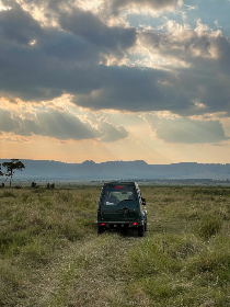 成本人片在线观看视频