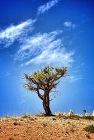 色噜噜狠狠爱综合视频 色噜噜狠狠爱综合视频