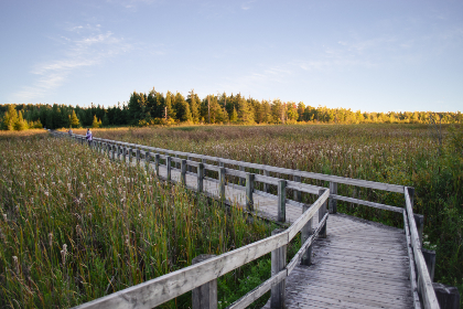 sepapa888在线观看视频