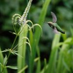 偷窥 亚洲 欧洲 美图 另类 oyfff