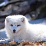 专业的男人福利网站 p3y4vd5u92