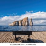 4438x全国最大的网址 qu8p4