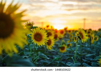 adc影库年龄确认未满十八岁 adc影库年龄确认未满十八岁