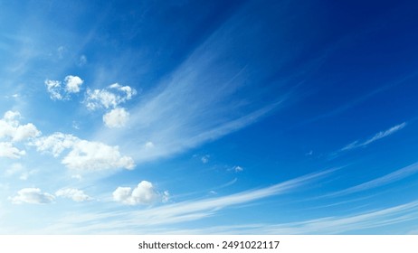 哔咔哔咔漫画下载：畅享海量漫画资源的最佳选择