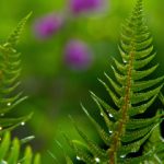 嫩草研究院地址一二三:探索新兴研究领域的最佳去处 b3ymo