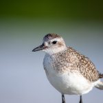 如何通过"https //hao.360.com/a1004"获取最新资讯与资源 by7js