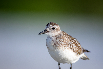 如何通过＂https ／／hao.360.com／a1004＂获取最新资讯与资源