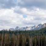 域名购买流程:从选择到注册的详细步骤与注意事项 e43fm1