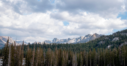 域名购买流程：从选择到注册的详细步骤与注意事项
