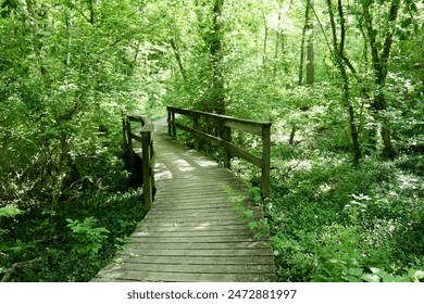 一帆影视电视剧:探索精彩剧情与角色魅力的世界 一帆影视电视剧:探索精彩剧情与角色魅力的世界