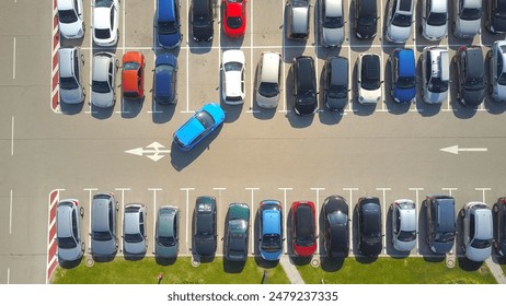 如何通过迅雷下载《死亡笔记》动漫的完整指南