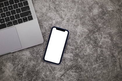 全面解析百度贴吧官网网页版的功能与使用技巧