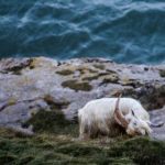 全面汇总:优质学习资料网站大全推荐 lur9q2mx8