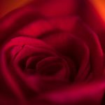 刘进志实验室:探索前沿科技与创新研究的摇篮 no61s