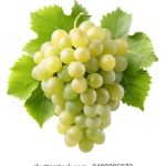 如何通过实例理解和运用'征服'这一概念 rcla2