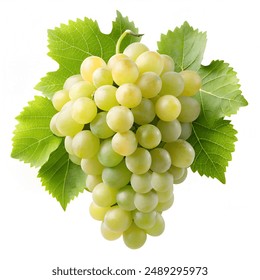 如何通过实例理解和运用’征服’这一概念