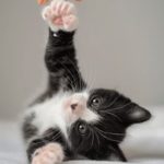 吃瓜51爆料:揭秘娱乐圈那些不为人知的秘密 s8djzwi07