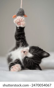 吃瓜51爆料：揭秘娱乐圈那些不为人知的秘密