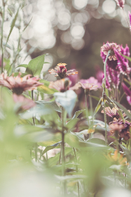 午夜第九理论达达兔影院：探索午夜电影的奇幻与哲学之旅