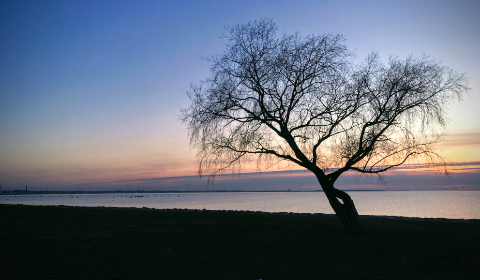 探索双十电影网页：畅享经典与新作的视觉盛宴