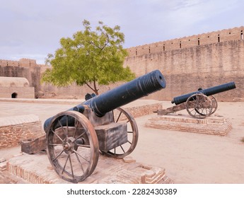 探索大米星球影视官网：影视爱好者的梦想天地