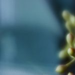 探索txvlog.tv:精彩视频日志带你领略生活的每一刻 61h9p