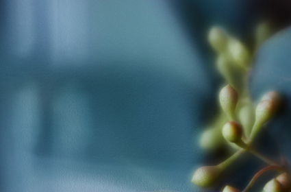 探索txvlog.tv：精彩视频日志带你领略生活的每一刻