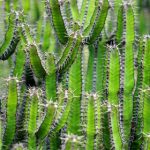 探索Tube 24HDHD:高清视听体验的全新标准 81a8vc0kqn