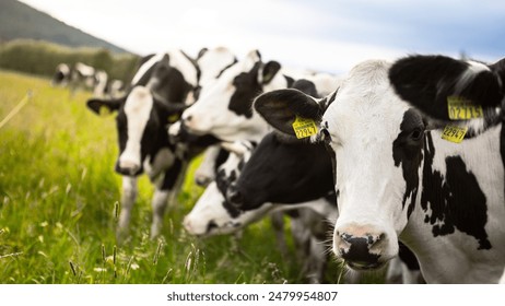 探秘浙江乌镇：它究竟隶属于哪个市？