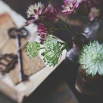 探索晋江文学城官网:畅享海量原创文学作品 9eggp0yi