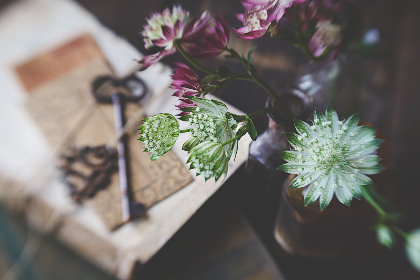 探索晋江文学城官网:畅享海量原创文学作品 探索晋江文学城官网:畅享海量原创文学作品