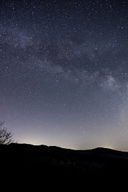 探索最佳万能播放器安卓应用，畅享无缝播放体验