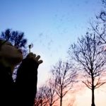 探索影猫的仓库官网入口,畅享无限精彩 cc6x6f9ynt