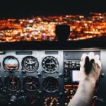 探索txvlog糖心官网:获取最新动态与精彩内容 jlobf