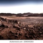 探索Twitter的社交媒体影响力与发展趋势 k59hl4p2t