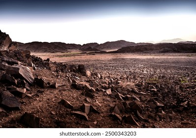 探索Twitter的社交媒体影响力与发展趋势