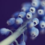 探索看片神器破解版的使用技巧与安全性分析 nn8l8qj7lc