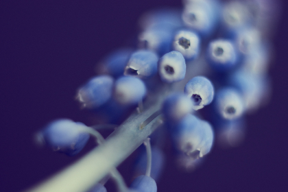 探索看片神器破解版的使用技巧与安全性分析