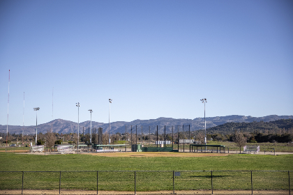 探索皮皮虾应用的多种创新用途与发展前景